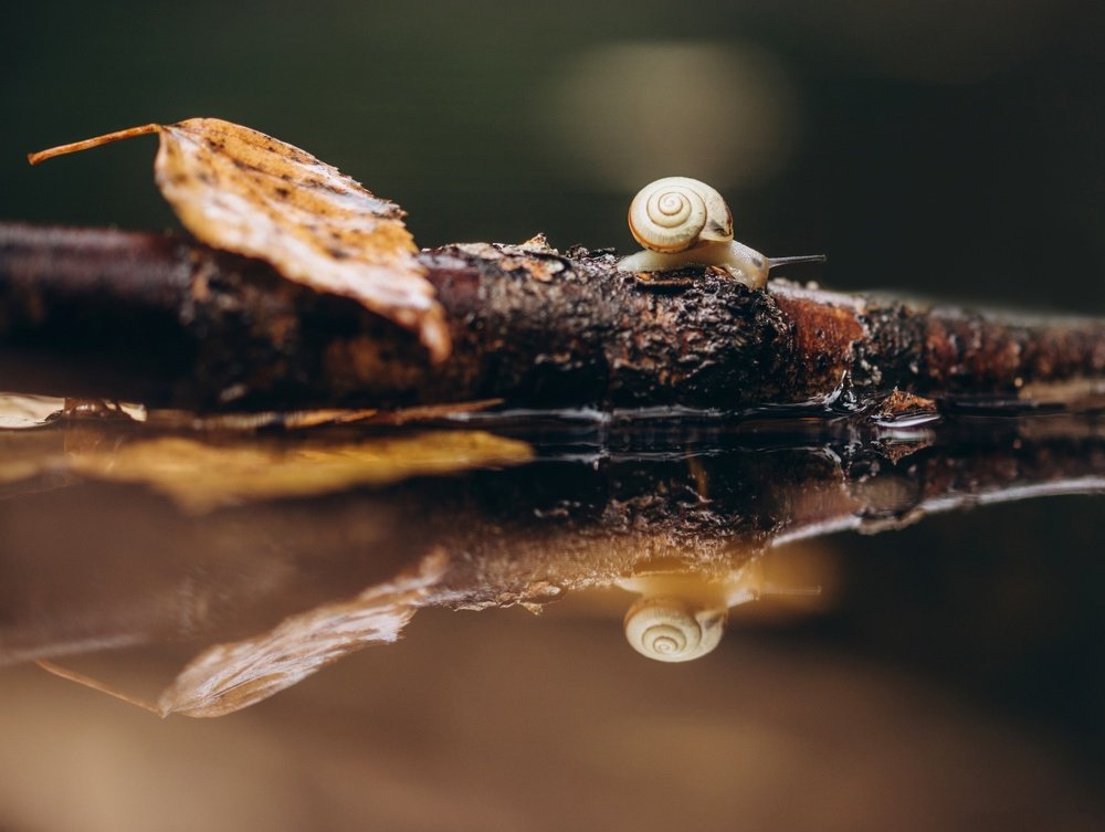 Тёплая осень...