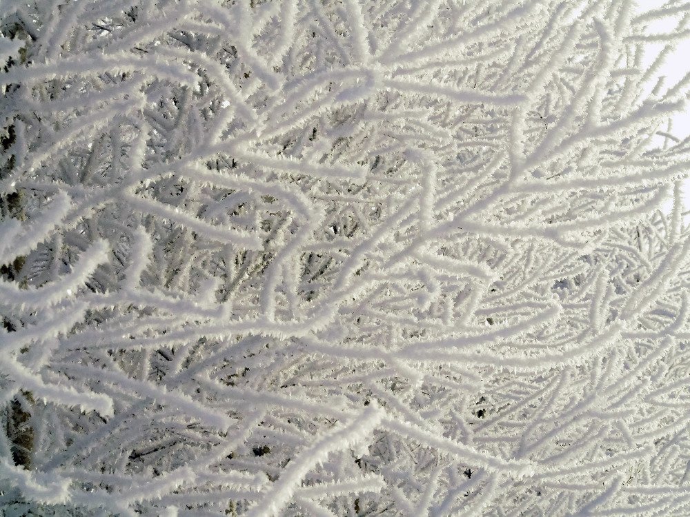 Photograph by Сергей Забиякин