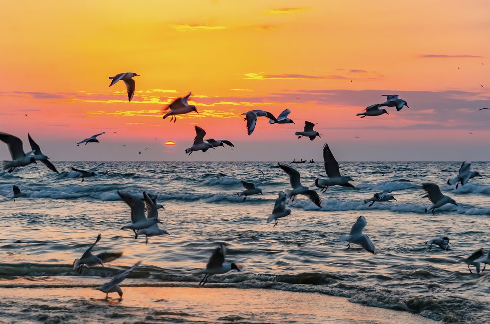 Photograph by Fathi Ibrahim