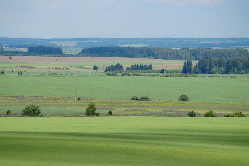 Photograph by Сергей Забиякин