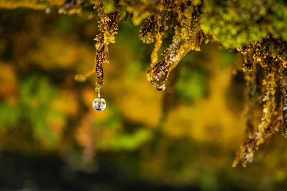 Photograph by Abed Abedaljalil