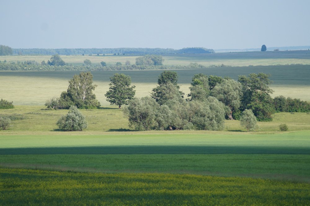 Photograph by Сергей Забиякин