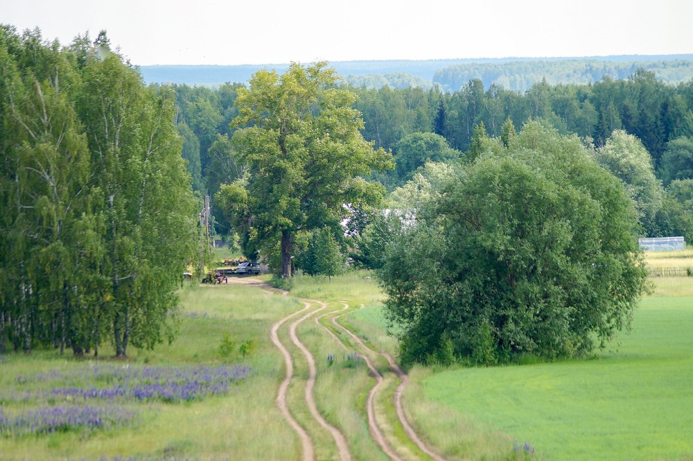 Photograph by Сергей Забиякин