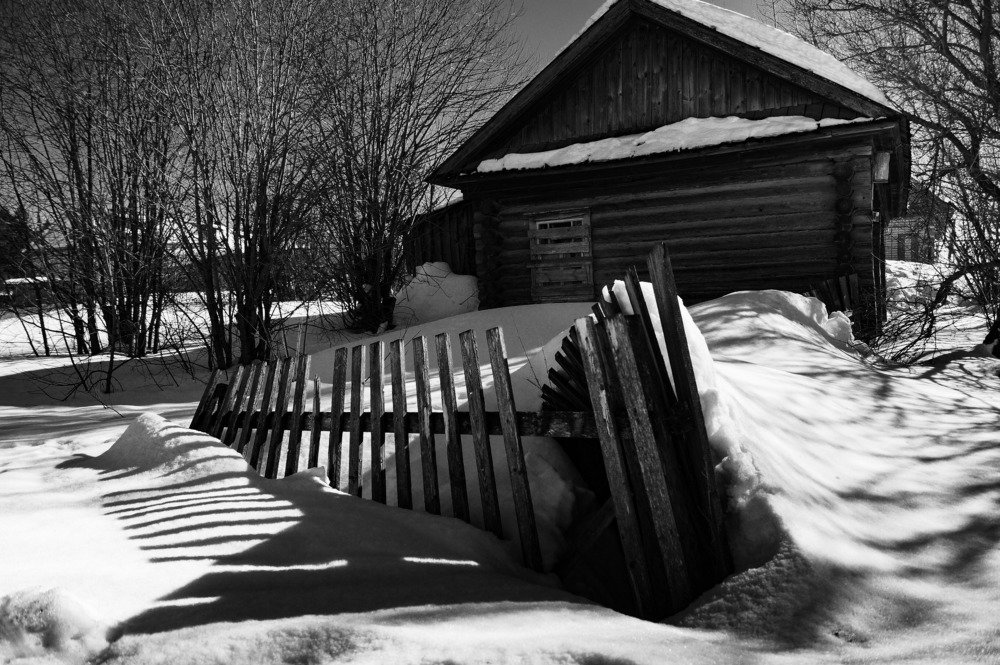 Photograph by Сергей Забиякин