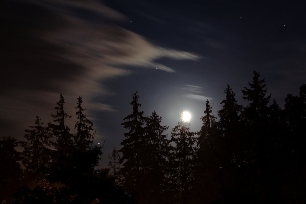 Фотография автора Гудкова Светлана