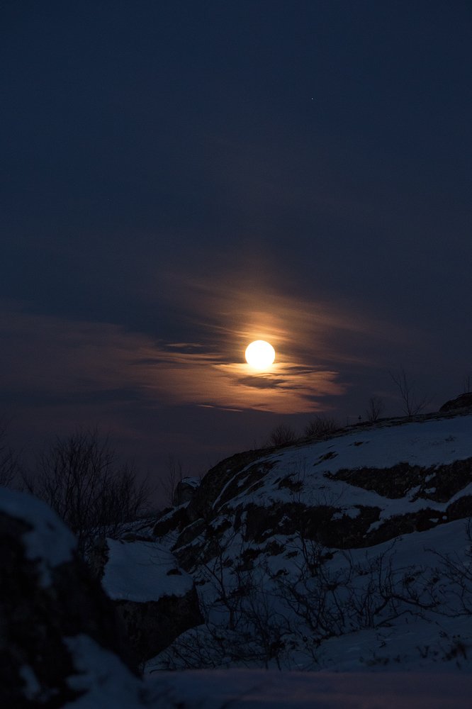 Photograph by Светлана Ржевская