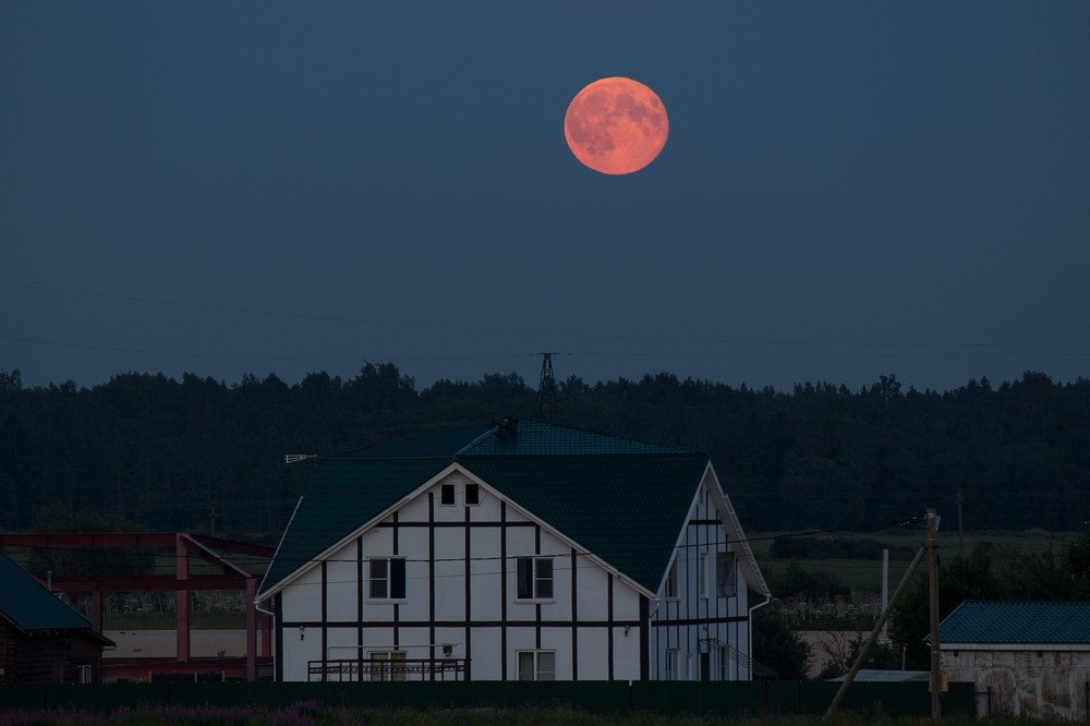 Photograph by Светлана Ржевская