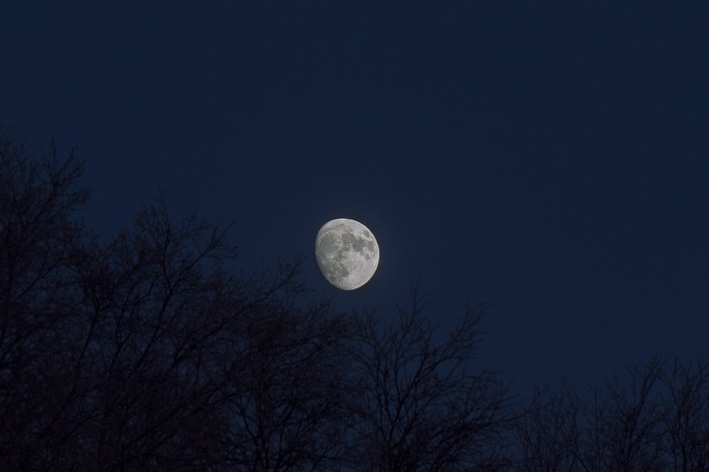 Photograph by Светлана Ржевская