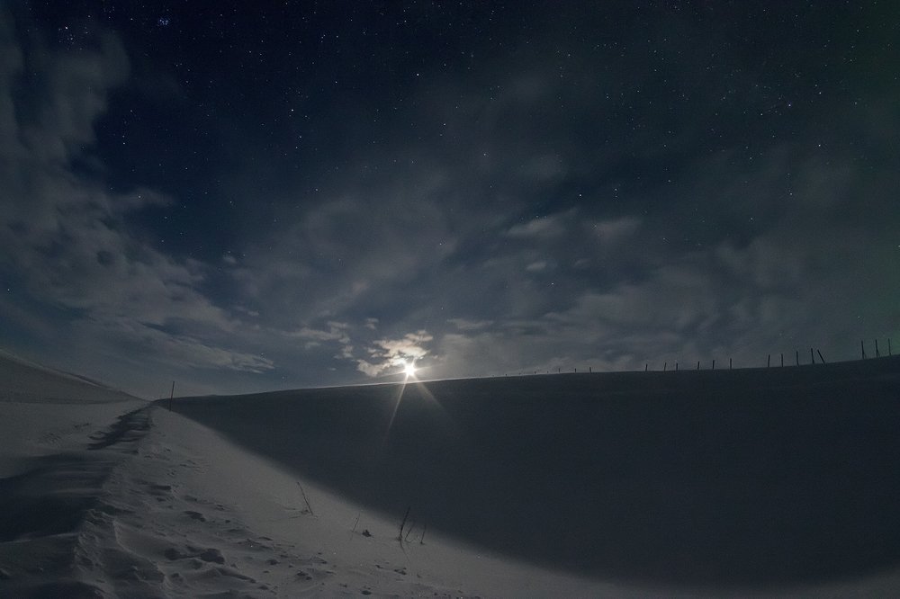 Photograph by Светлана Ржевская