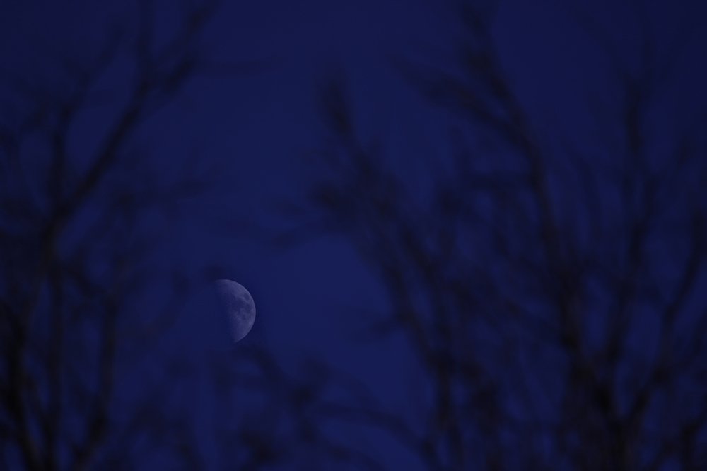 Photograph by Светлана Ржевская