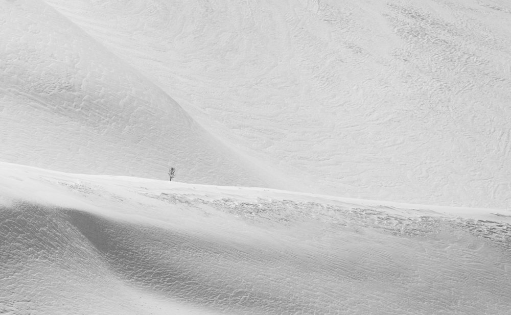 Photograph by Mohammad Beheshti