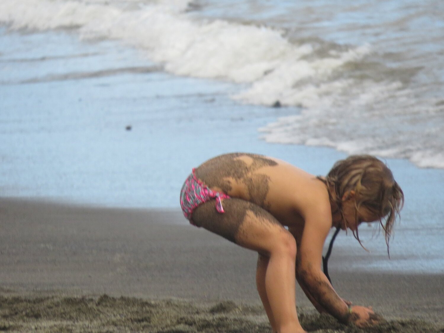 Photo #3703611