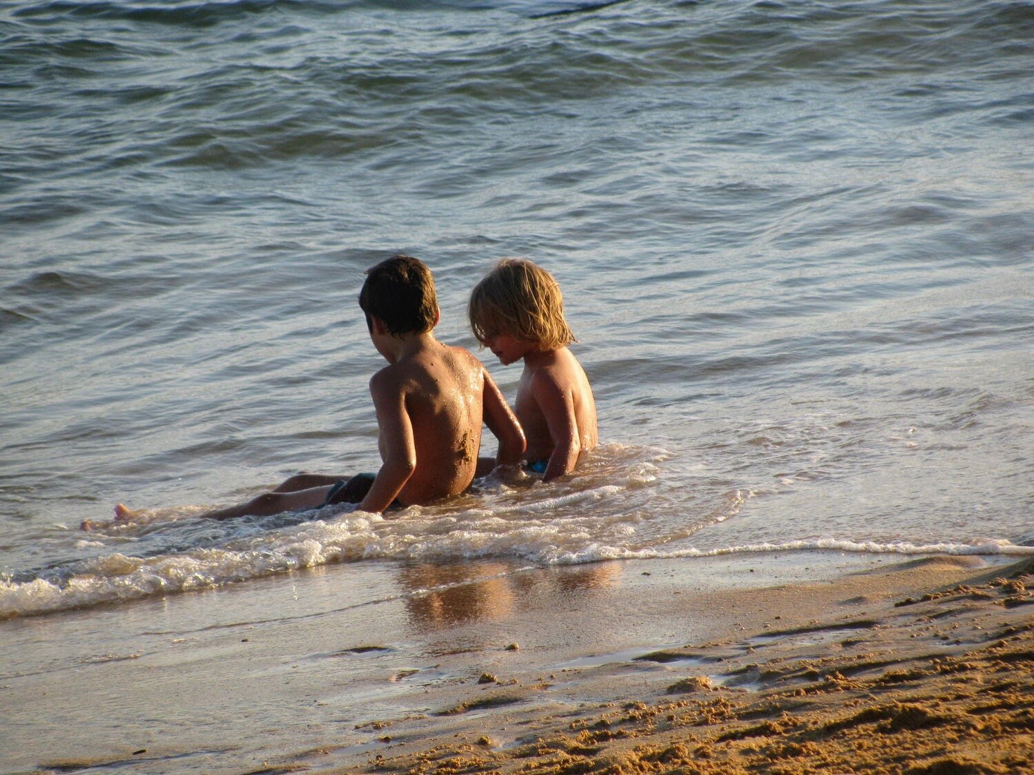 Photo #3703615
