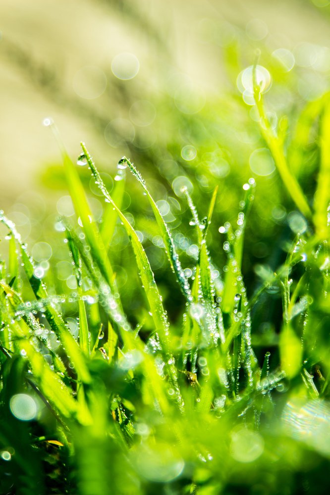 Фотография автора Dimitry Fadeev