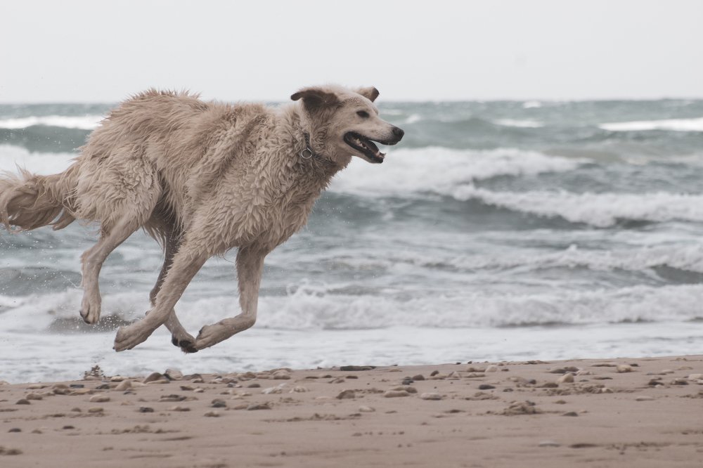 Фотография автора Dimitry Fadeev