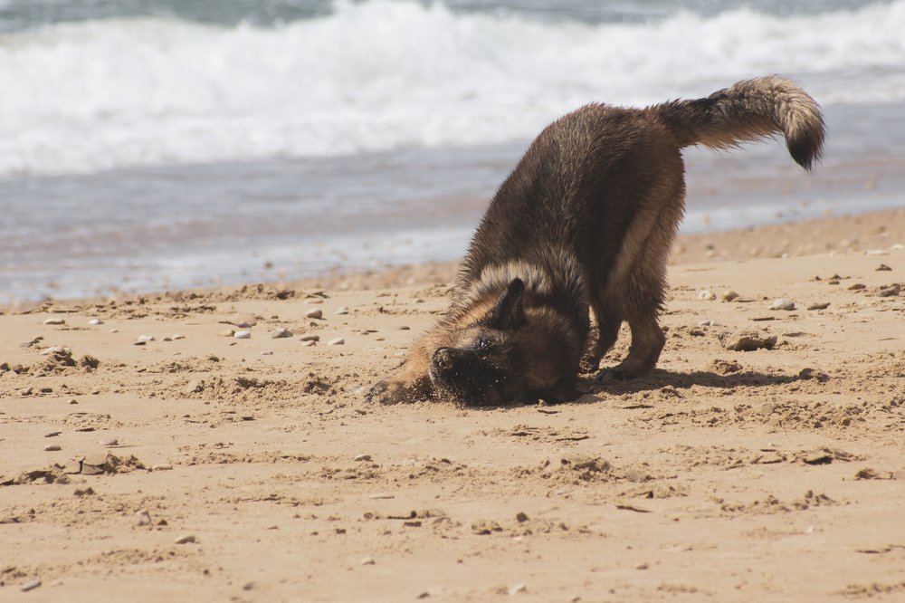 Фотография автора Dimitry Fadeev