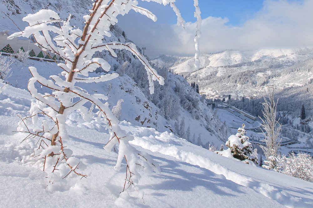 Фотография автора Владимир Пронин