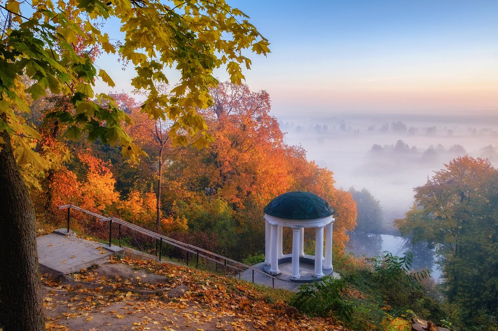 Photograph by Alex Arendar