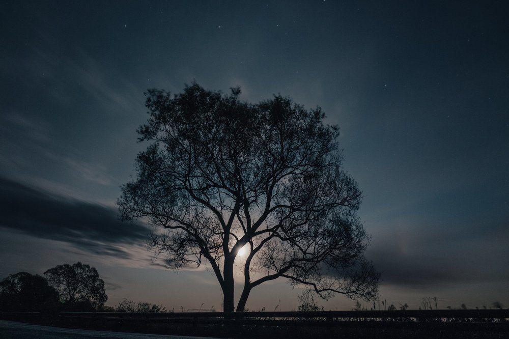 Photograph by Сергей