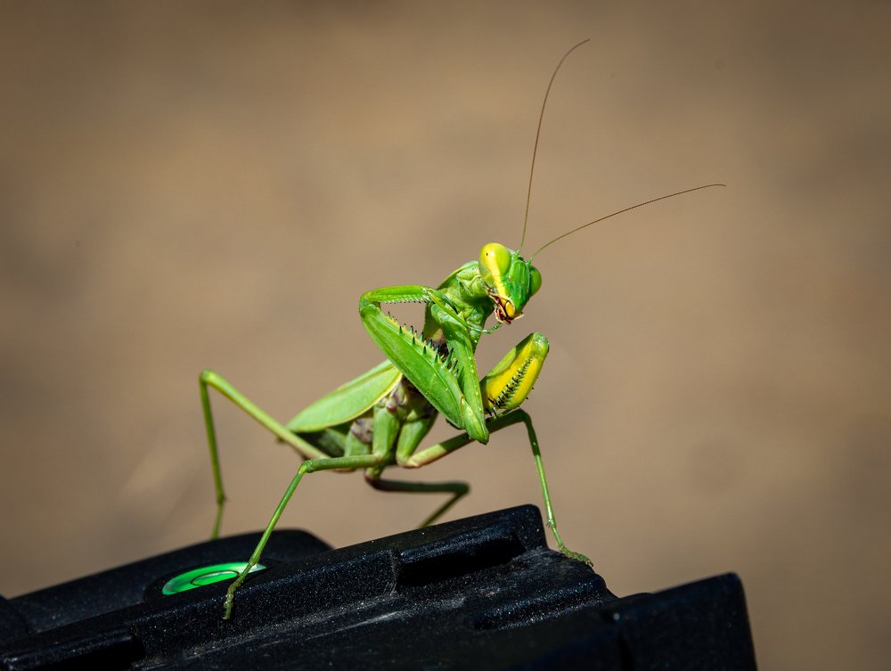 Photograph by Вадим Смирнов