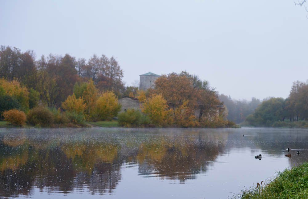 Photograph by Светлана Михайлова