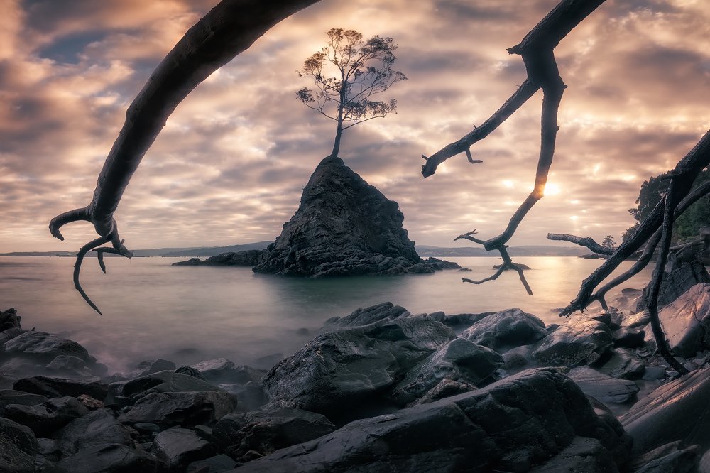 Фотография автора Gestal Marcos