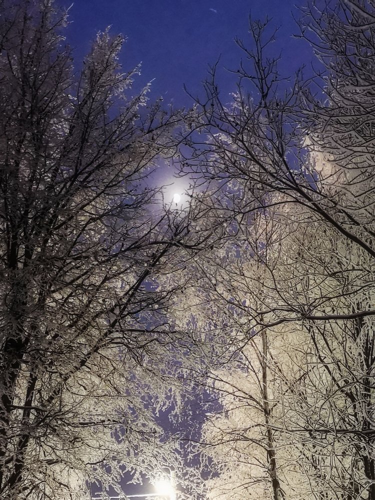 Photograph by Татьяна Чернышова