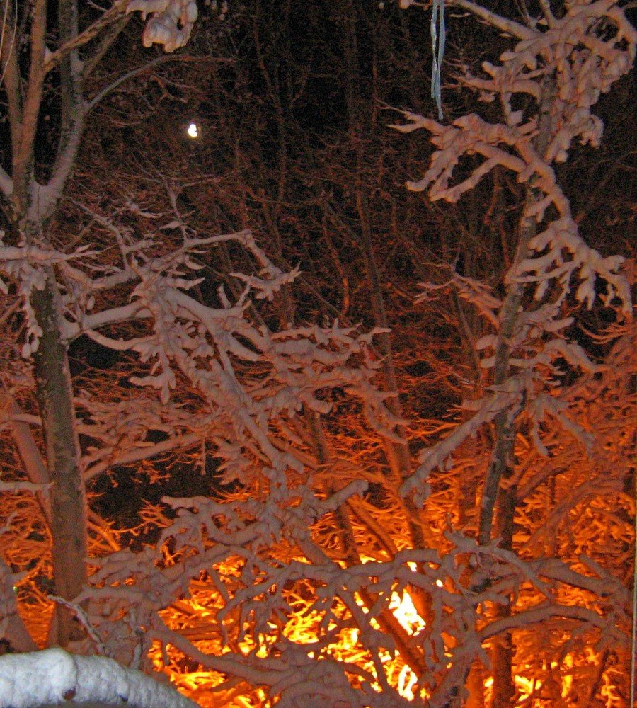 Photograph by Юрий Тихонов