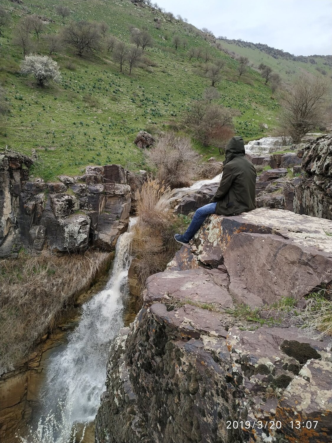 Photo #3704083