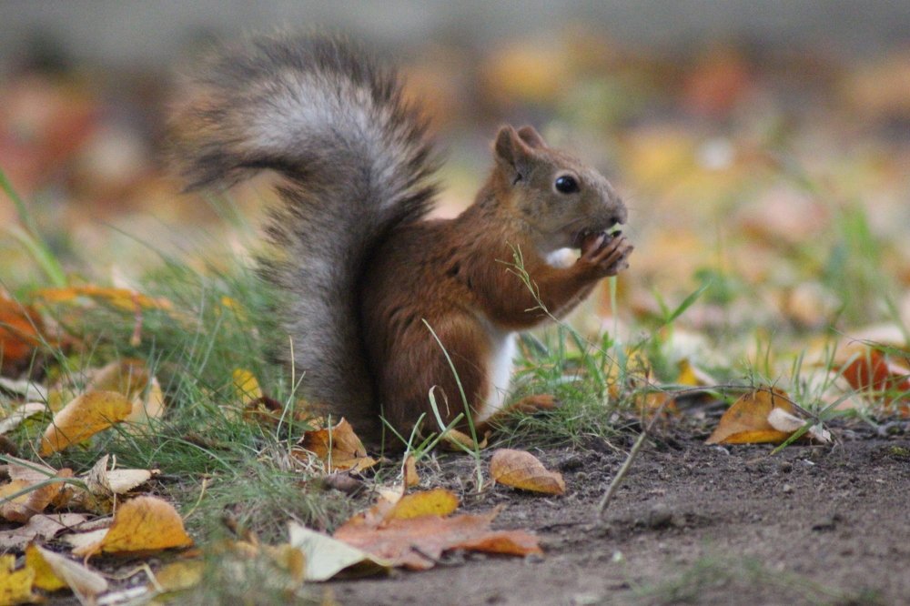 Photograph by Валентина