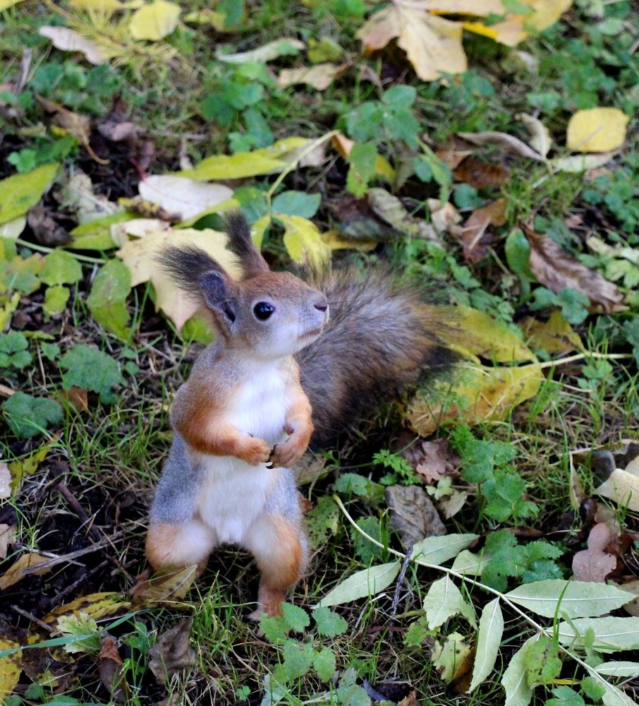 Photograph by Валентина