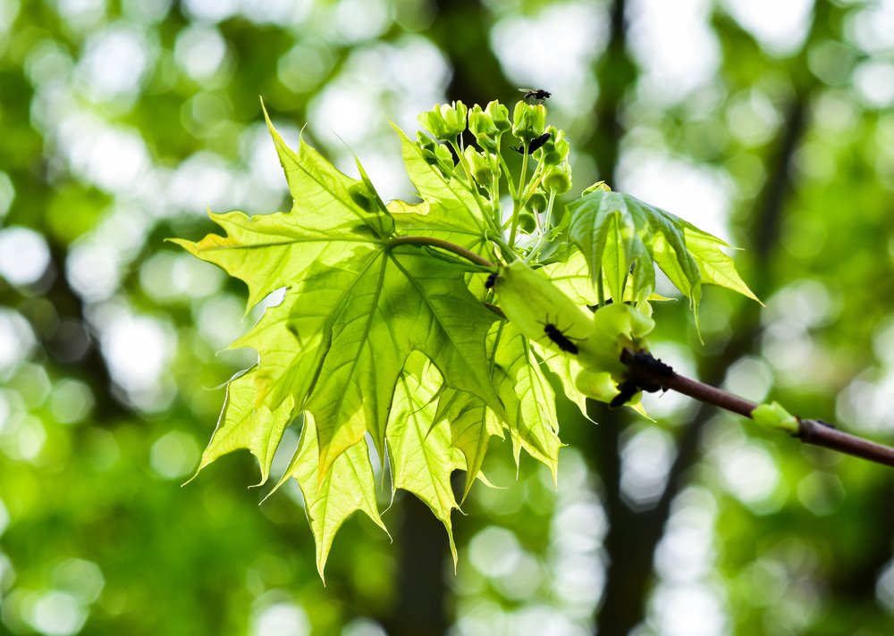 Photograph by Юлия Ковальчук