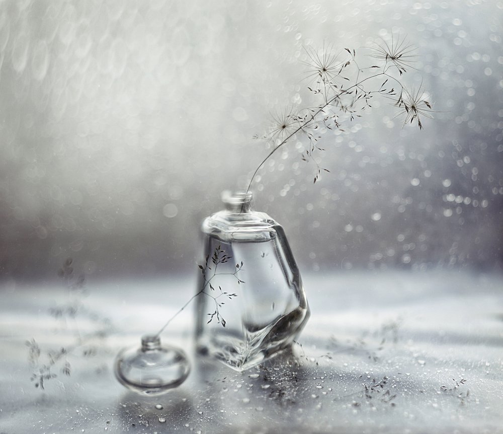 Photograph by Svoboda Andreeva