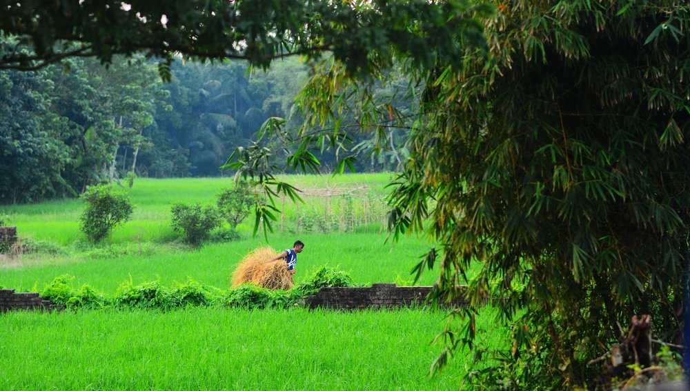 Photograph by Nazmus Saadat Sakib