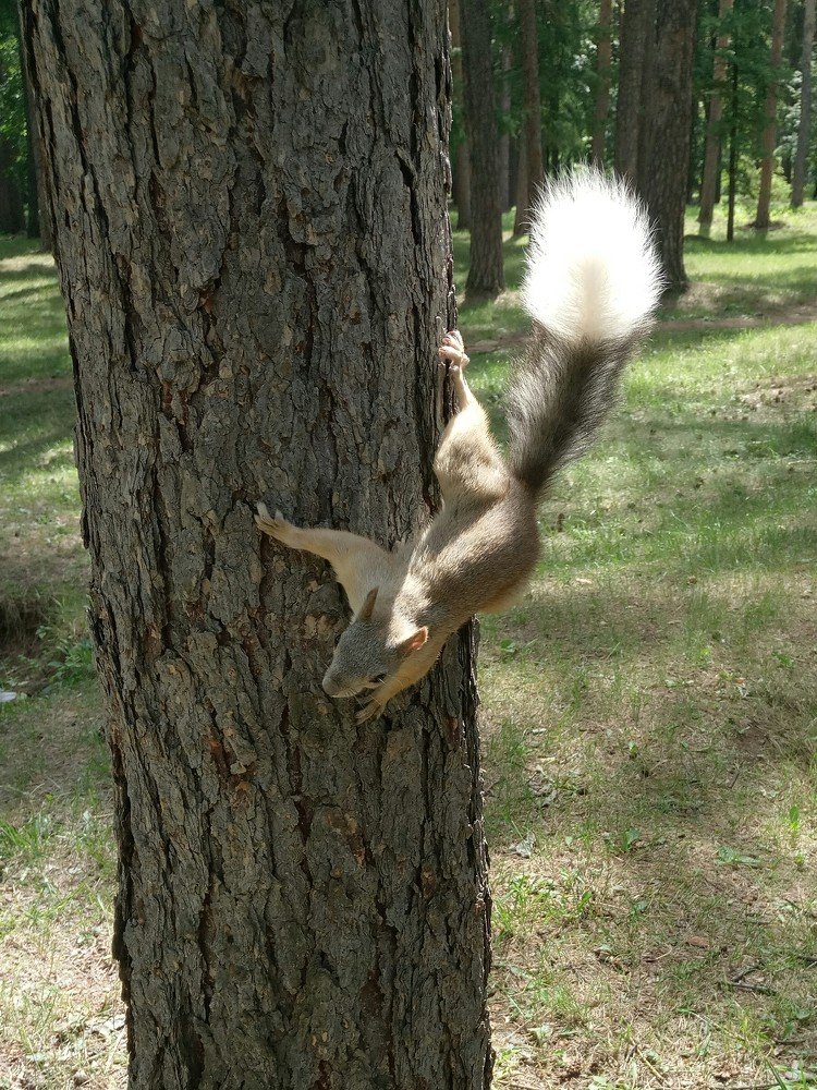 Photograph by Мария Пилипенко