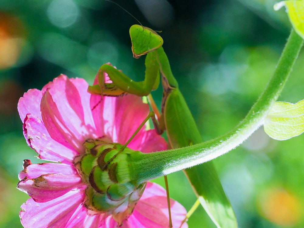 Photograph by Олег Черных