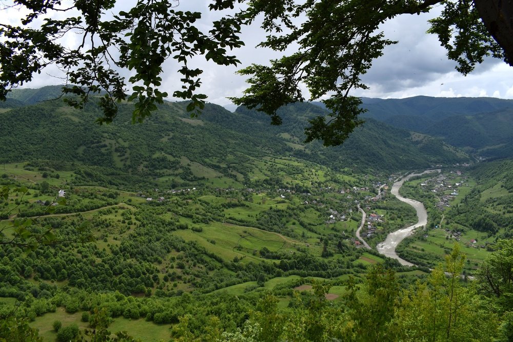 Зеленые горы Карпат