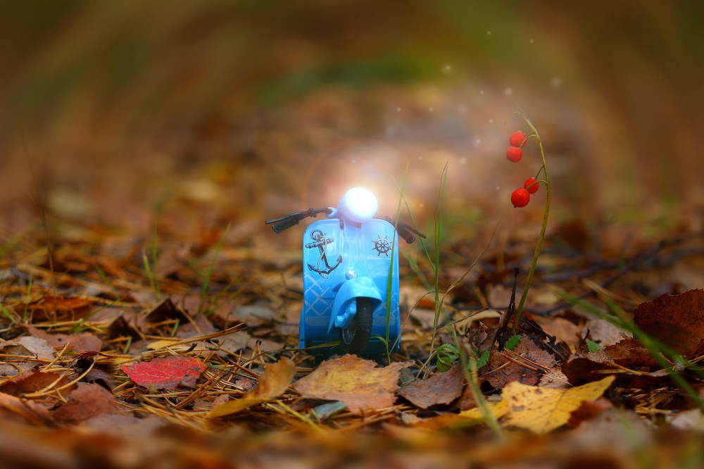 Photograph by Александр Большаков