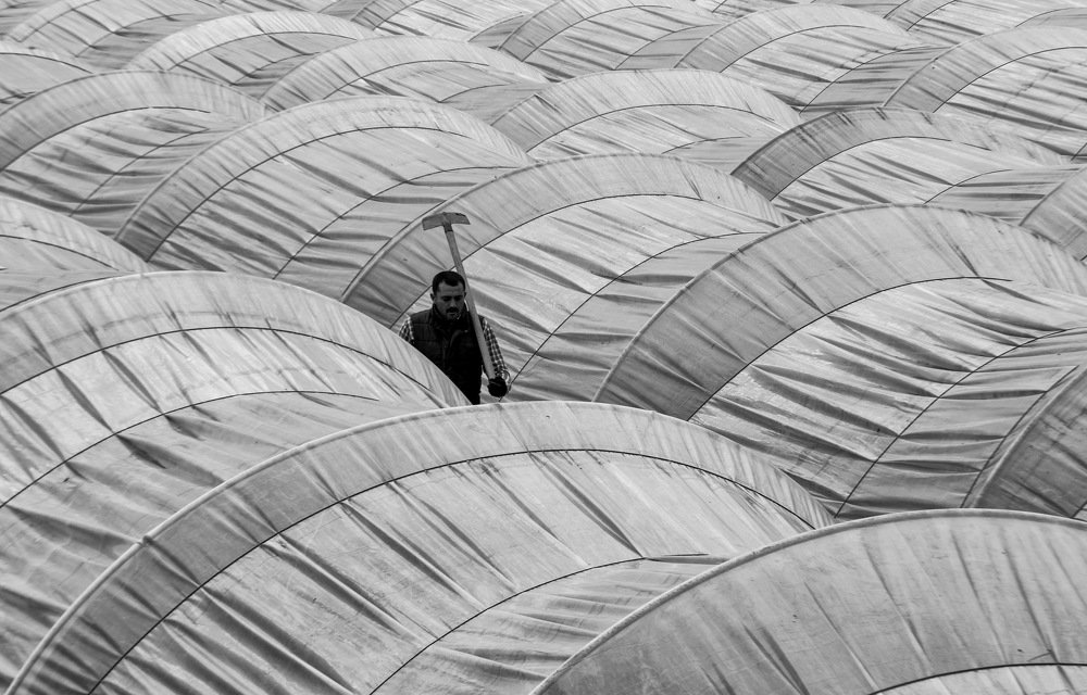 Photograph by Sevgin Cingöz