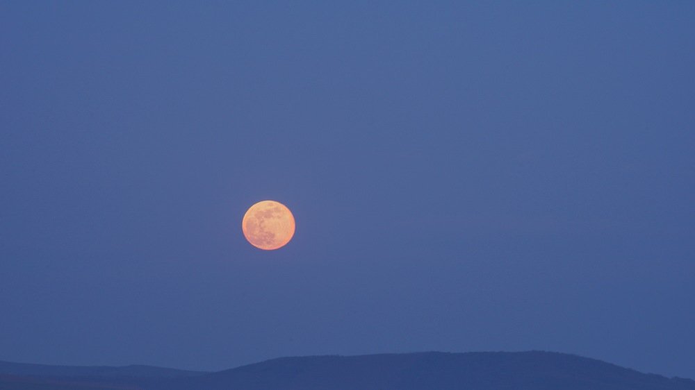 Photograph by Oprea Alexandru