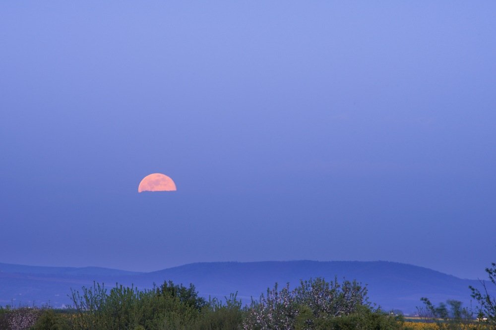 Spring moon rise