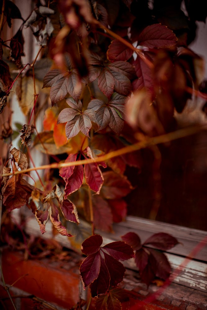 Photograph by Ирина Стоякина
