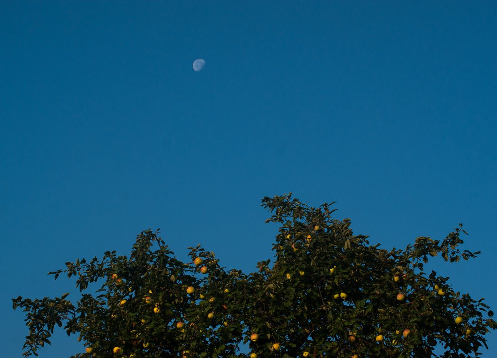 Фотография автора Владимир Ступинский