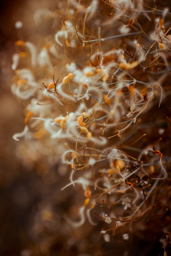 Photograph by Ирина Стоякина
