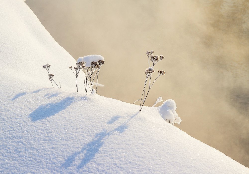 Photograph by Александра Шайдурова