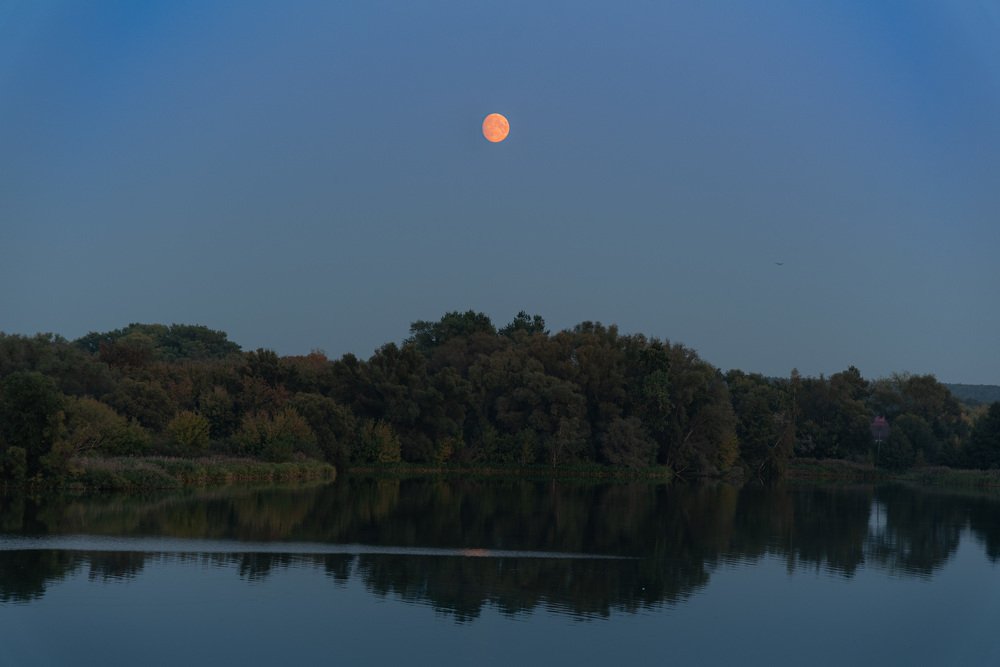 Photograph by Дмитрий Крючков