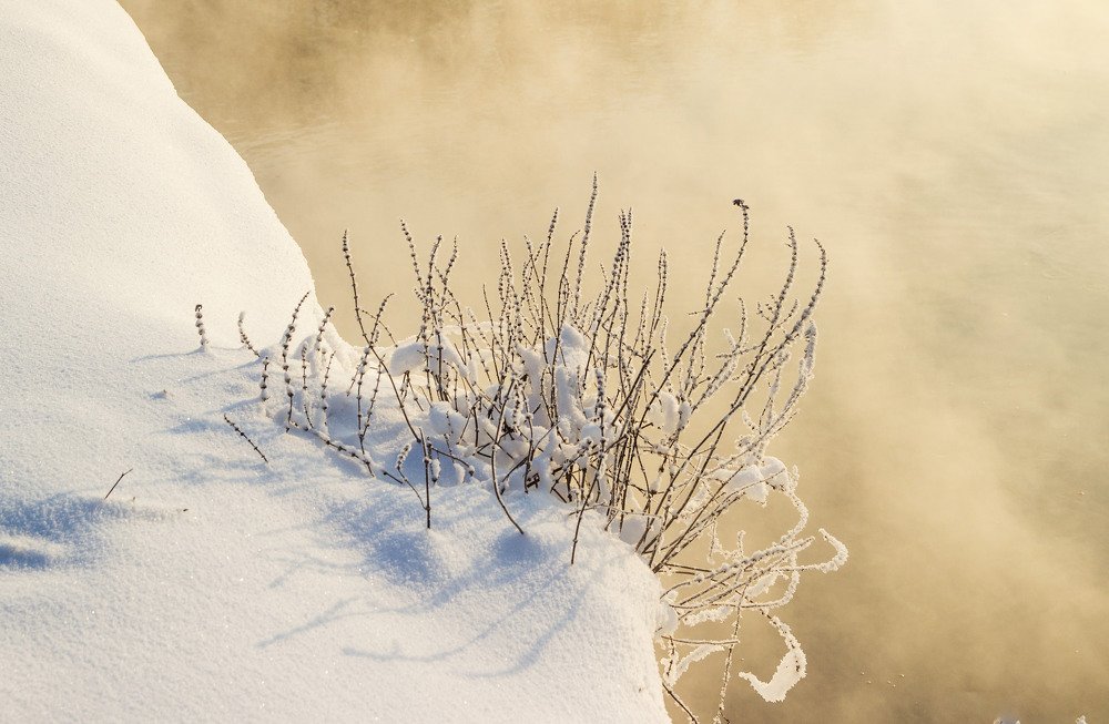 Photograph by Александра Шайдурова