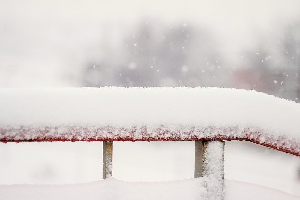 Photograph by Александра Шайдурова