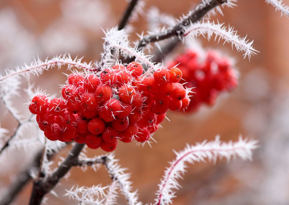 Photograph by Наталия Васильева