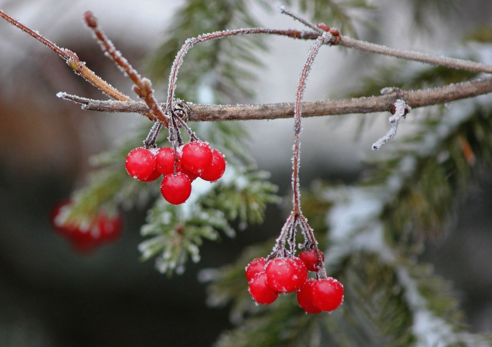Photograph by Наталия Васильева